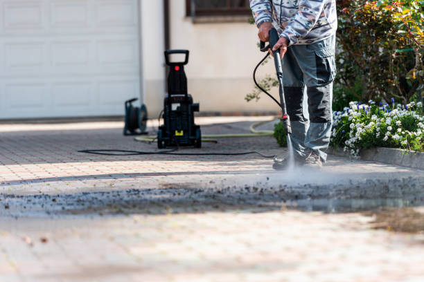 Best Pressure Washing Near Me  in Pine City, MN