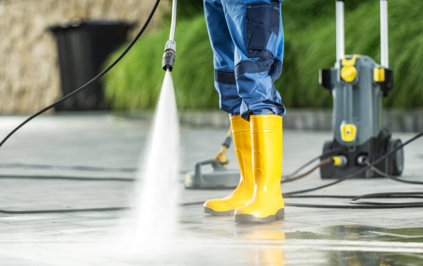 Best Affordable Power Washing  in Pine City, MN