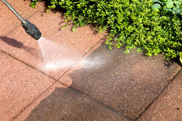 Best Concrete Pressure Washing  in Pine City, MN